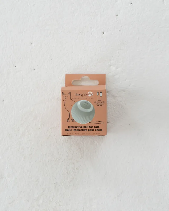 DEXYPAWS - Sage Green Interactive Pet Ball