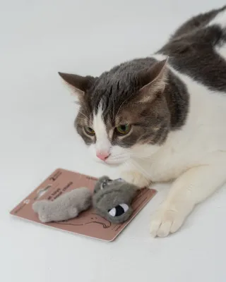 DEXYPAWS - Backyard Buddies Cat Toys with Catnip