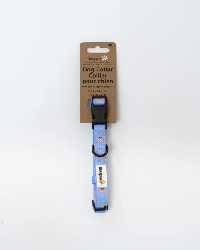 DEXYPAWS - Tangerine Adjustable Dog Collar