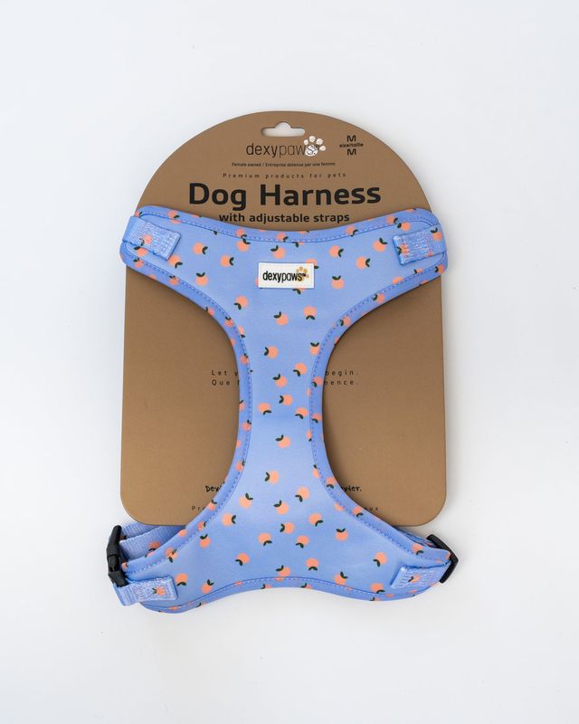DEXYPAWS - Dog Harness with Adjustable Straps Tangerine