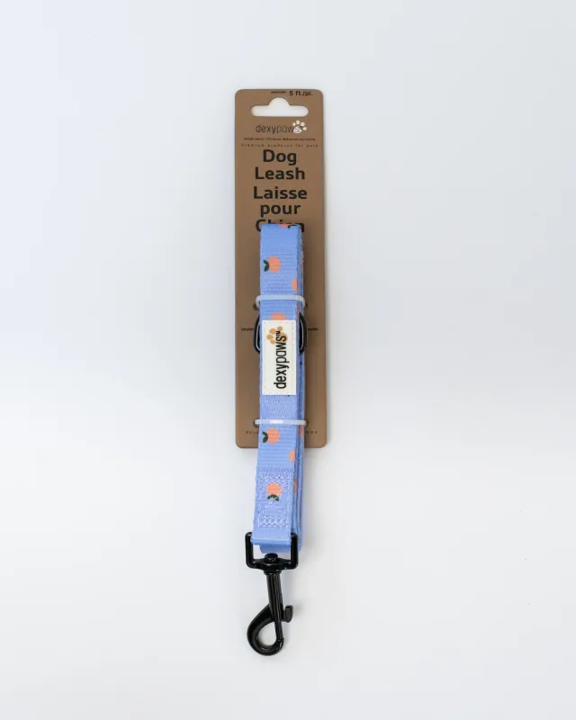 DEXYPAWS - Tangerine Print 5ft Dog Leash