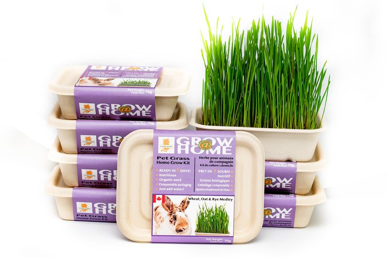 FOG FARMS - Grow Home Medley Kit Pet Grass