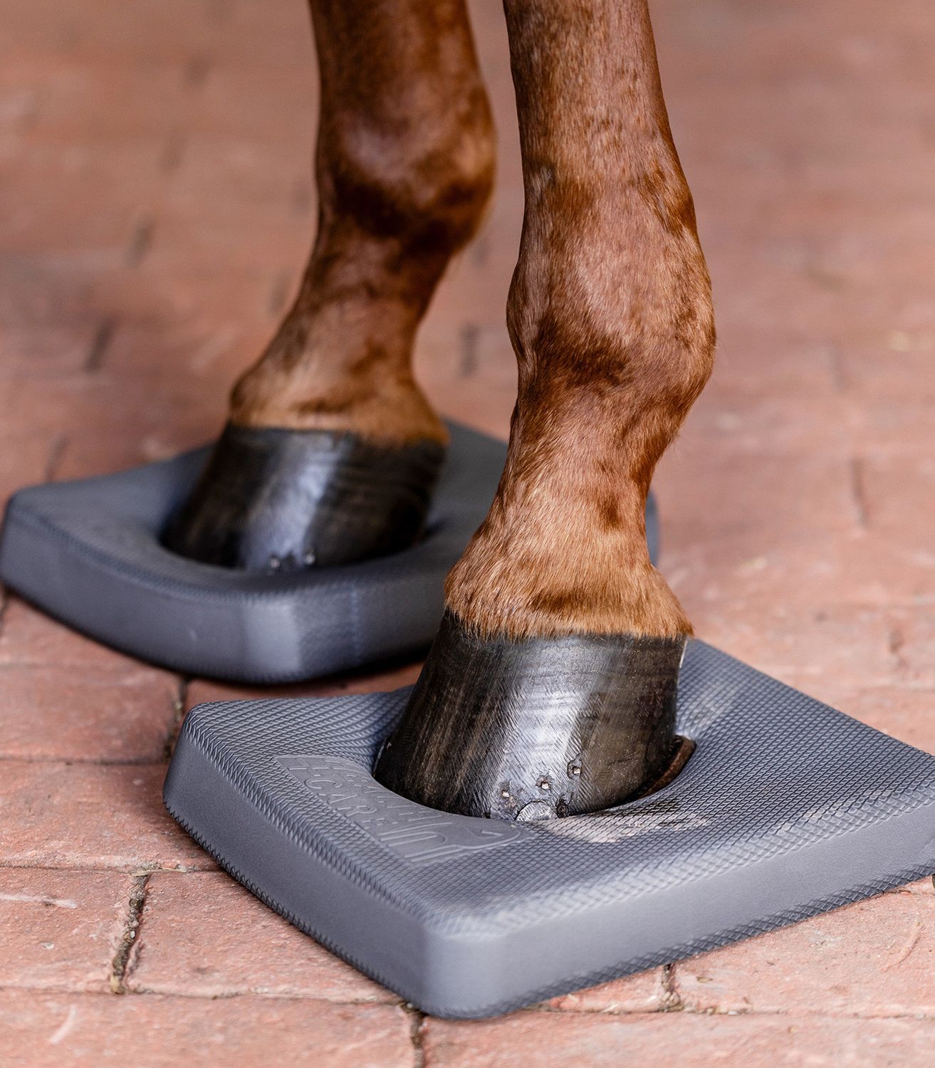 WALDHAUSEN - Health + Care Balance Pads