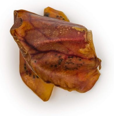 NATURE'S OWN DOG CHEWS - Pig Ears