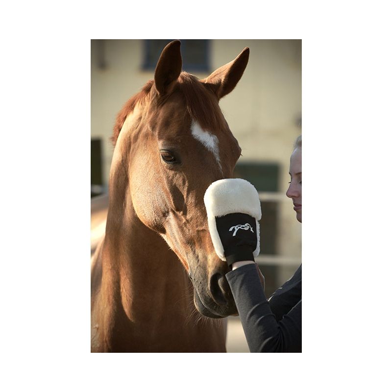 PENELOPE - Grooming Glove