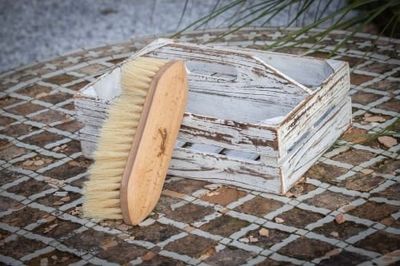 PENELOPE - Long Hair Dandy Brush in Wood