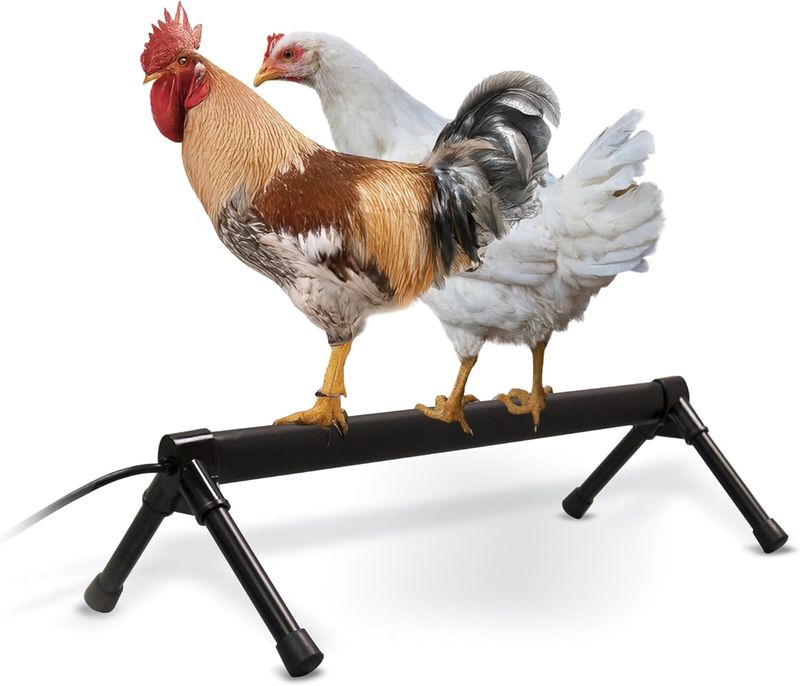 K&amp;H PRODUCTS - Thermostatically controlled Heated Chicken Perch