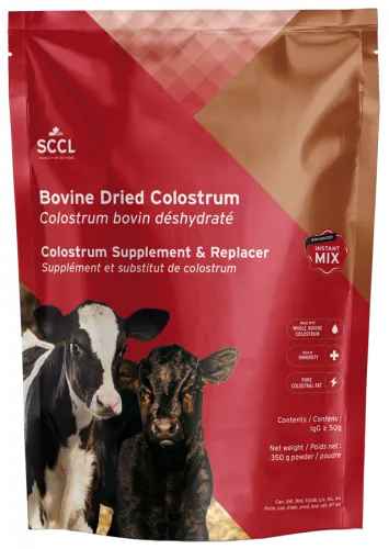 SCCL - Bovine Dried Colostrum