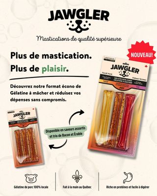 JAWGLER - 3Pack Assorted Flavours Gelatin Dog Chew