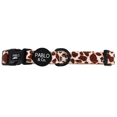 PABLO &amp; CO - Rodeo Neoprene Padding Dog Collar