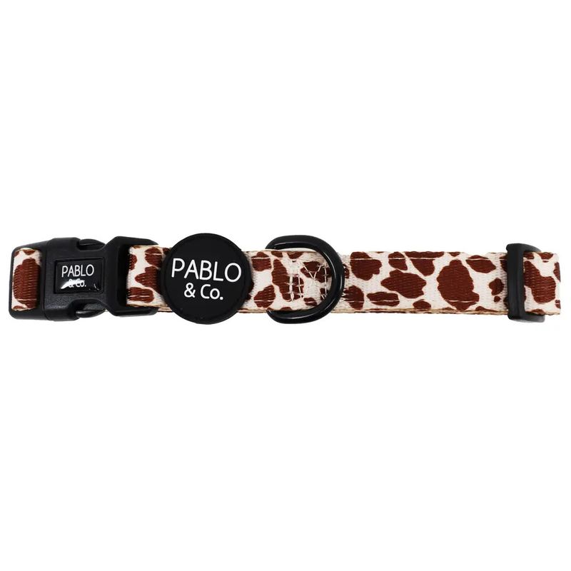 PABLO &amp; CO - Rodeo Neoprene Padding Dog Collar
