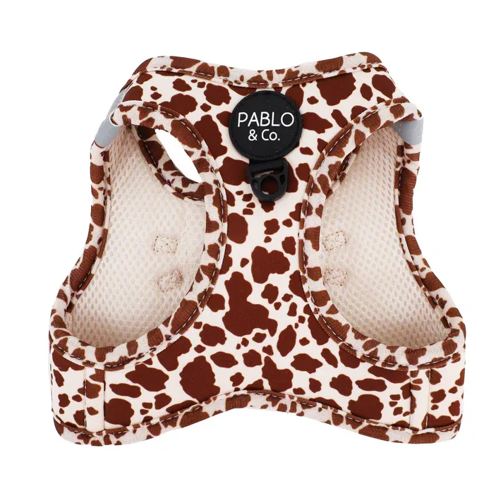 PABLO &amp; CO - Rodeo Step In Cat Harness