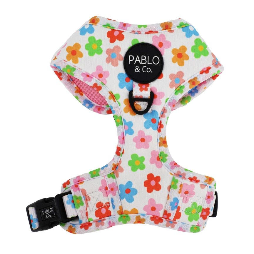 PABLO &amp; CO - Posy Adjustable Dog Harness