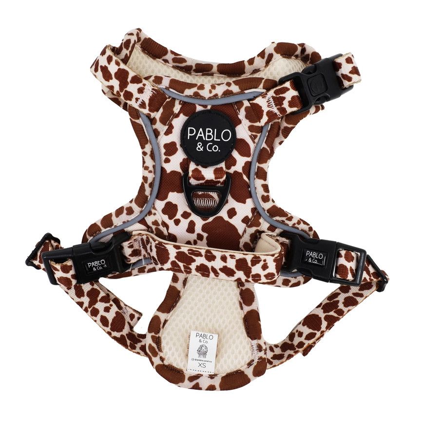 PABLO &amp; CO - Rodeo No Pull Adventure Harness
