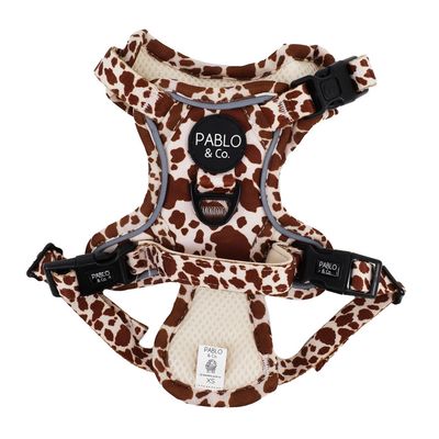 PABLO & CO - Rodeo No Pull Adventure Harness PABLO & CO - Rodeo No Pull Adventure Harness