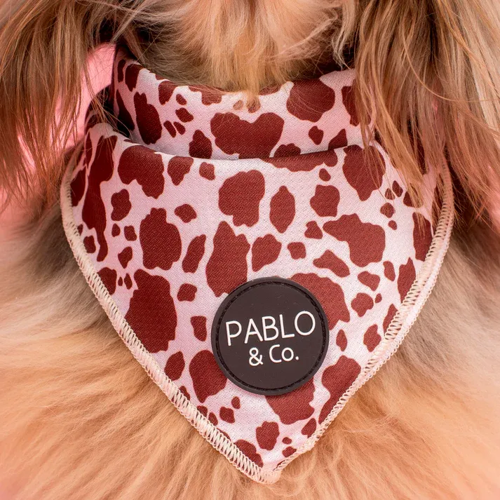 PABLO &amp; CO - Rodeo Dog Bandana