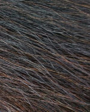 CHAMPION TAILS - Double Horse Tail Extension 32 inches #10 Black with Chestnut