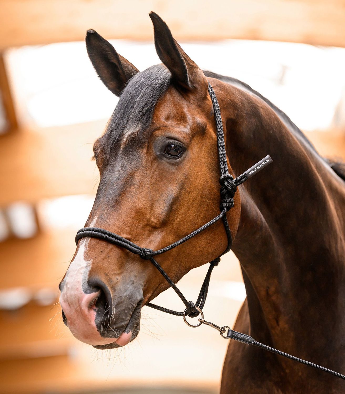 WALDHAUSEN - Knotted halter with Movable Ring