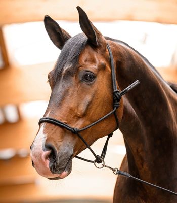 WALDHAUSEN - Knotted halter with Movable Ring