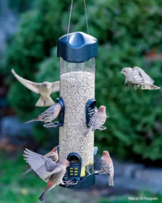 BROME BIRD CARE - Mega 600 Bird Feeder