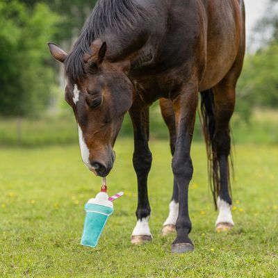 QHP - Horse Stable Toy Milkshake