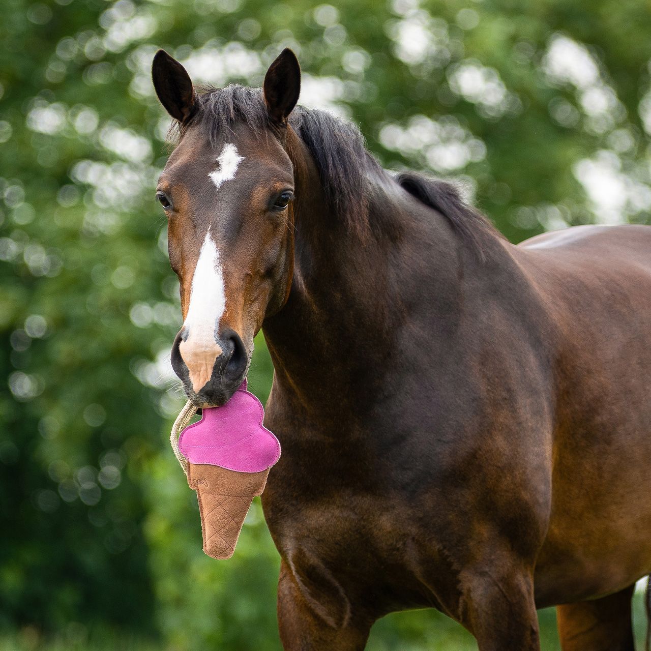 QHP - Horse Stable Toy Ice Cream