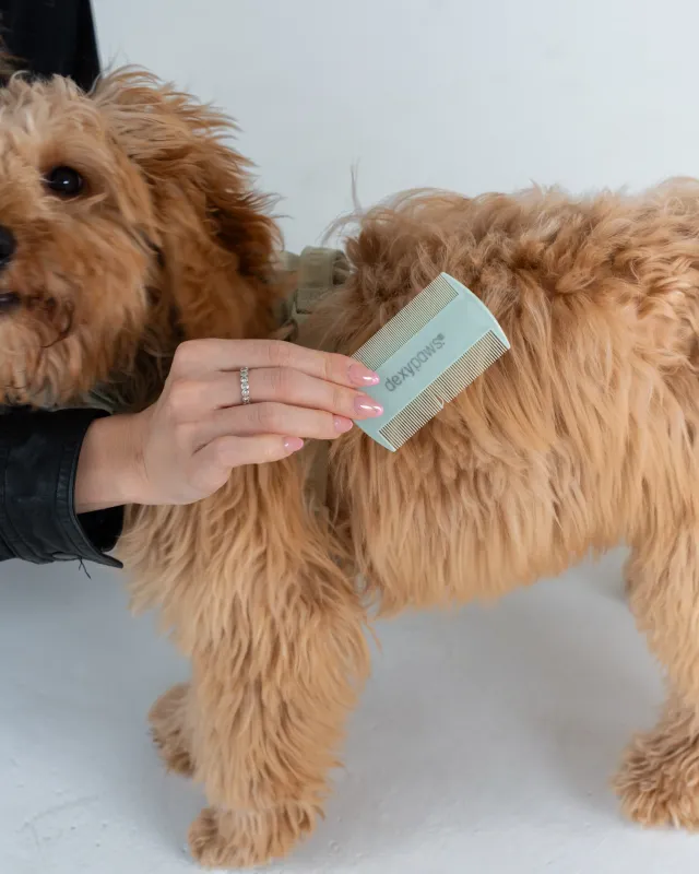 DEXYPAWS - Sage Green Flea Comb