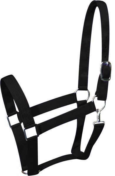 GER-RYAN - Draft Halter 2''
