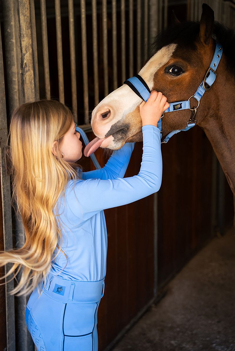BR EQUESTRIAN - Mini Horse Ear Bonnet