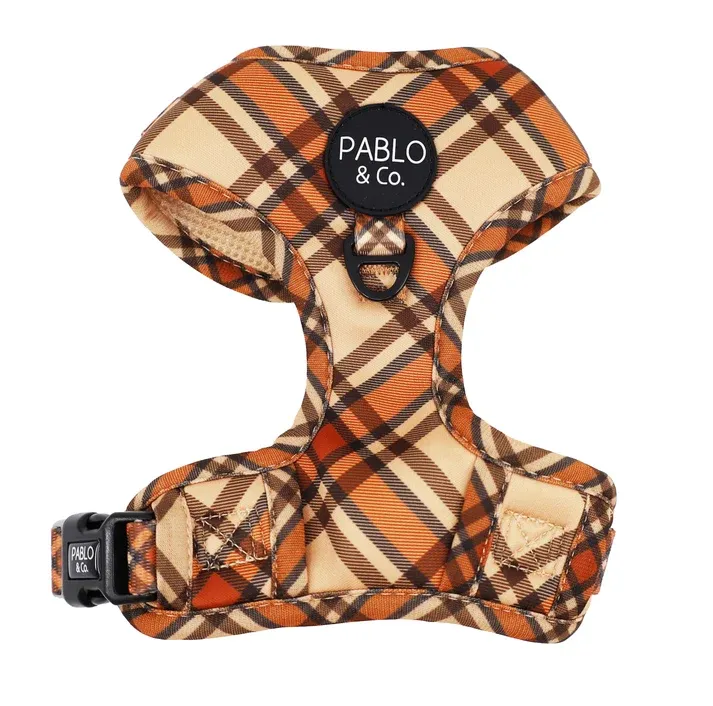 PABLO &amp; CO - Kensington Adjustable Dog Harness