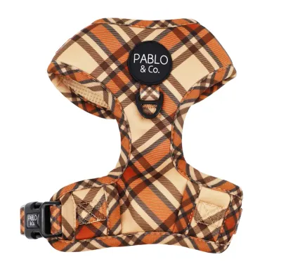 PABLO &amp; CO - Kensington Adjustable Dog Harness