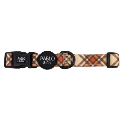 PABLO &amp; CO - Kensington Neoprene Padding Dog Collar