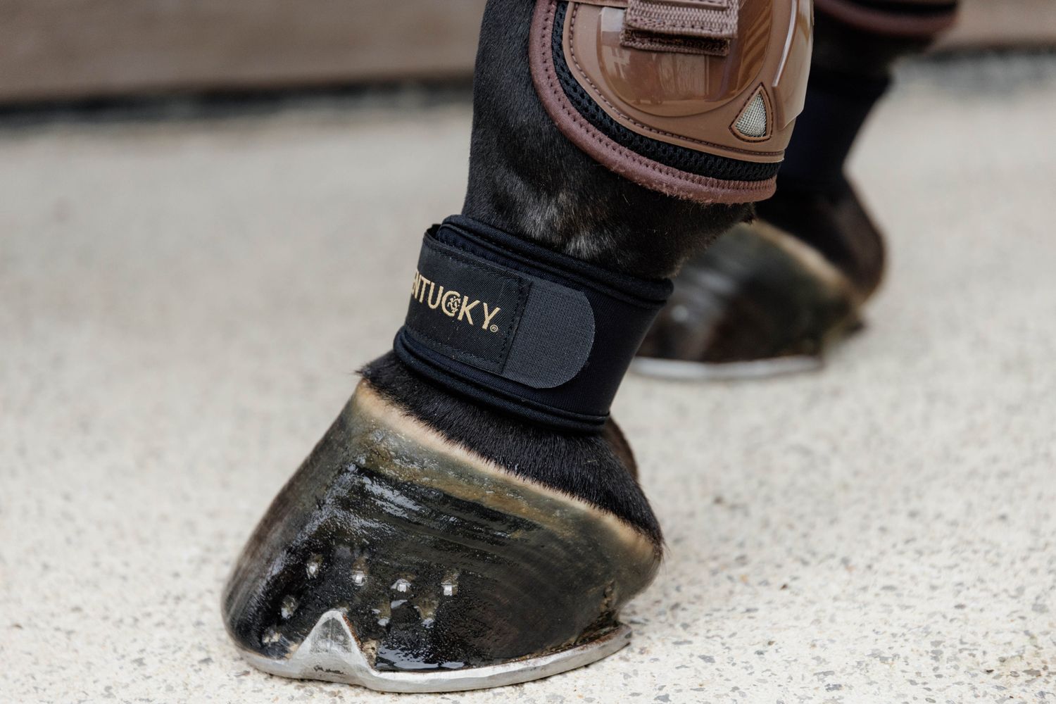 KENTUCKY HORSEWEAR - Pastern Wrap