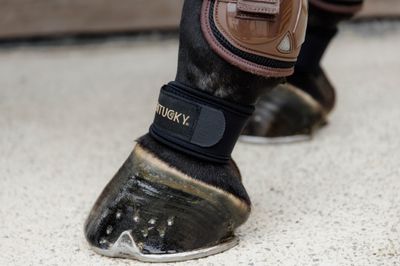 KENTUCKY HORSEWEAR - Pastern Wrap