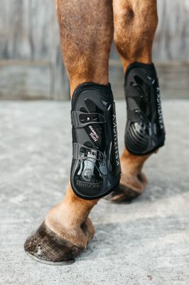 KENTUCKY HORSEWEAR - Tendon Boots Bamboo Elastic