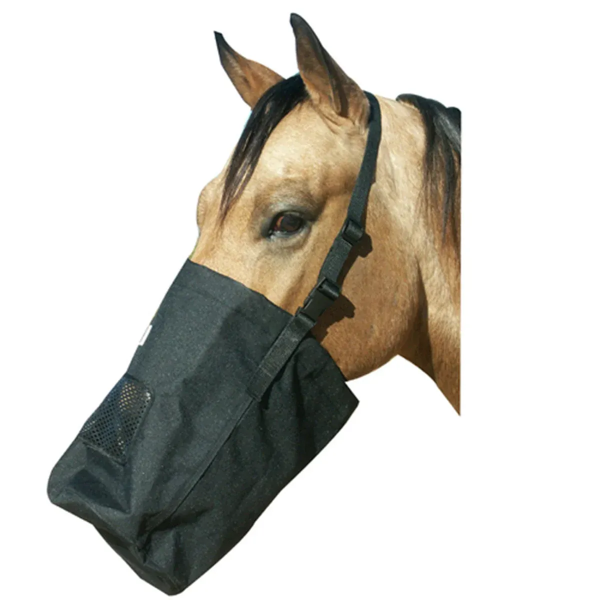 BEST FRIEND - Horse Feed Bag