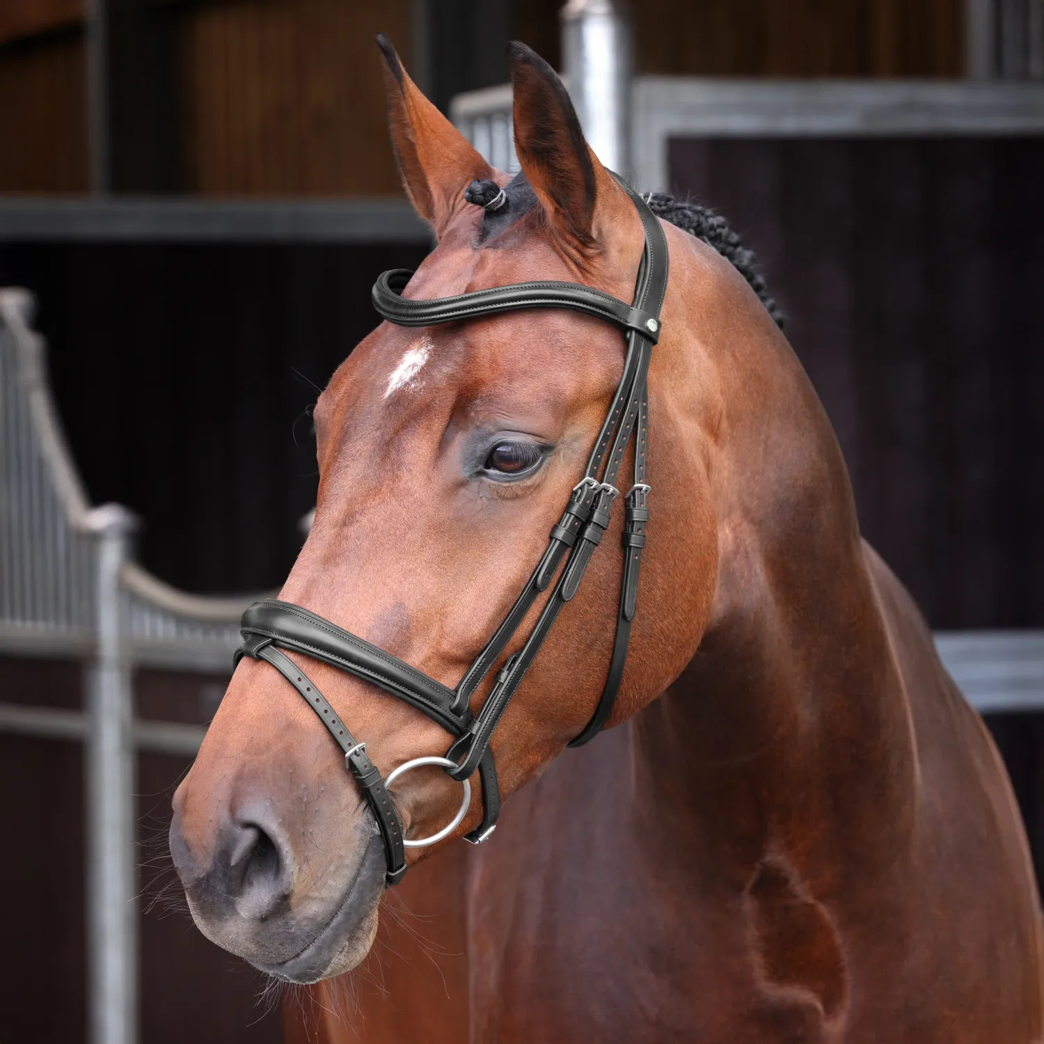 VELOCITI LUSSO - Elite Padded Raised Flash Bridle