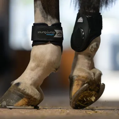 VEREDUS - Young Jump Vento Fetlock Boots