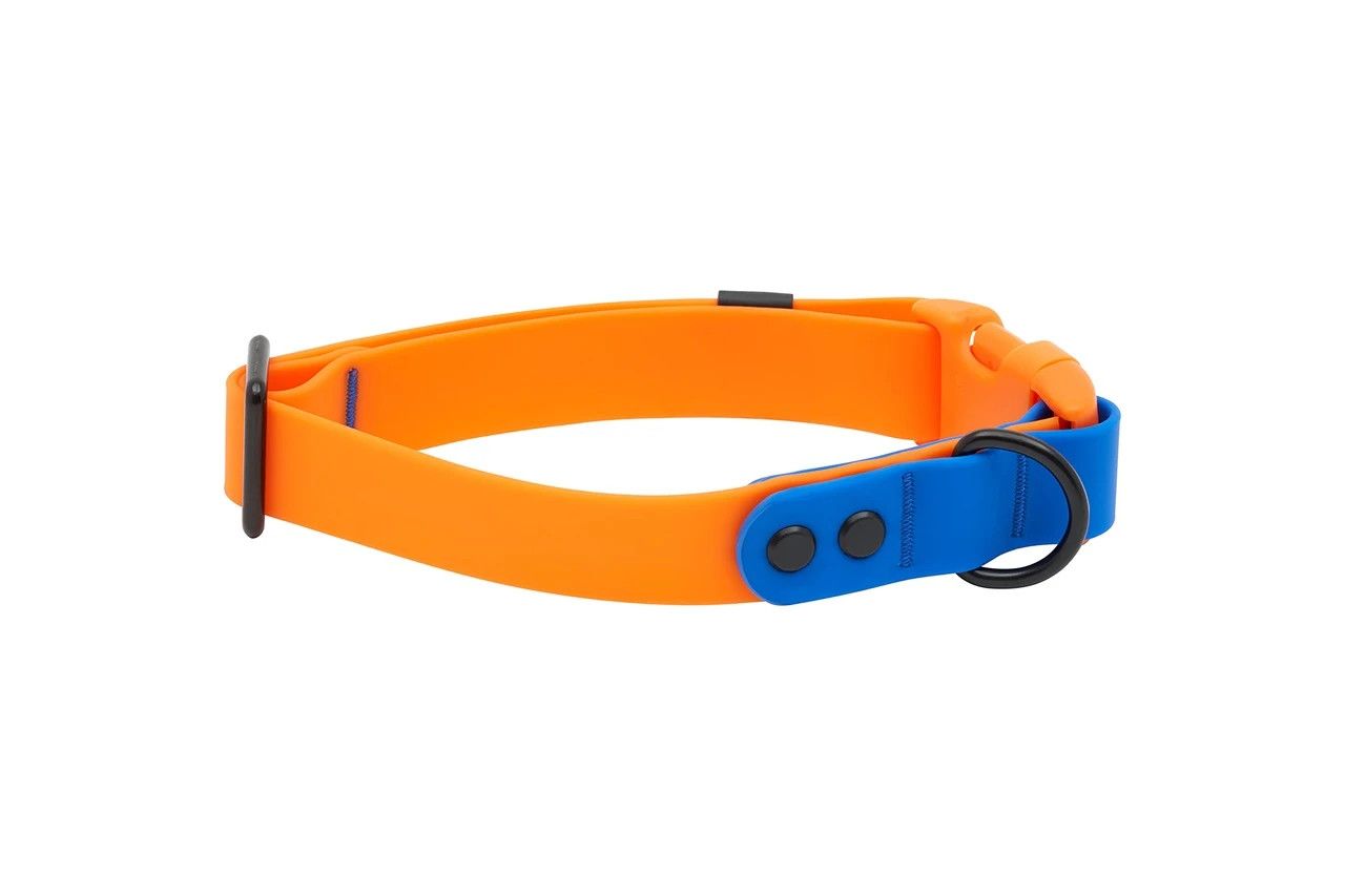 RC PETS - Orange &amp; Sapphire Waterproof Collar