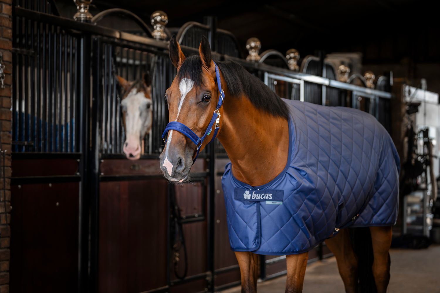 BUCAS - Cosy Stable Rug 100g Navy