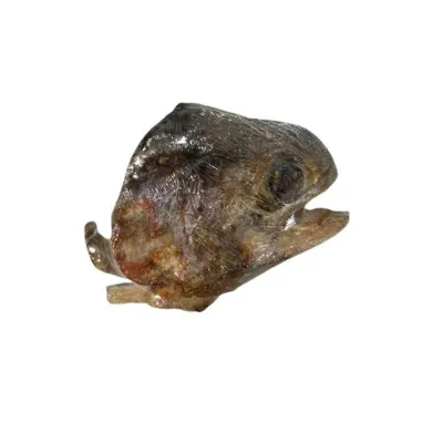 WAWWAW - Freeze-Dried Fish Head
