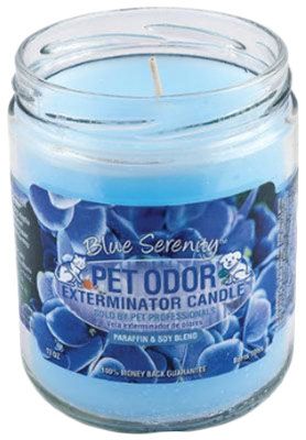 HOLLY MOLLY - Blue Serenity Pet Odor Exterminator Candle, Net Weight: 13oz