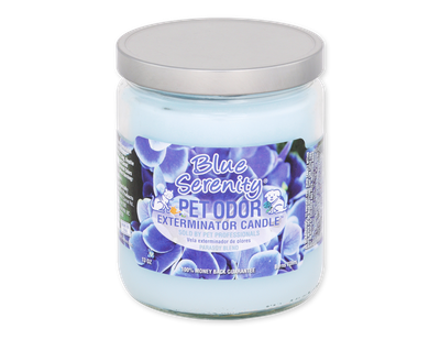 HOLLY MOLLY - Blue Serenity Pet Odor Exterminator Candle