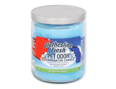 HOLLY MOLLY - Clothesline Fresh Pet Odor Exterminator Candle