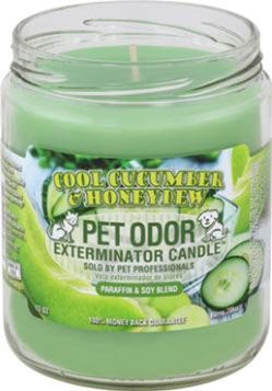 HOLLY MOLLY - Fresh Cucumber &amp; Honeydew Pet Odor Exterminator Candle, Net Weight: 13oz