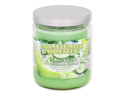 HOLLY MOLLY - Fresh Cucumber &amp; Honeydew Pet Odor Exterminator Candle