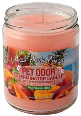 HOLLY MOLLY - Maui Wowie Mango Pet Odor Exterminator Candle, Net Weight: 13oz
