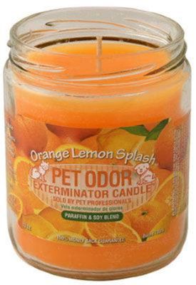 HOLLY MOLLY - Orange Lemon Splash Pet Odor Exterminator Candle, Net Weight: 13oz