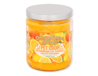 HOLLY MOLLY - Orange Lemon Splash Pet Odor Exterminator Candle