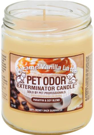 HOLLY MOLLY - Caramel Vanilla Latte Pet Odor Exterminator Candle, Net Weight: 13oz